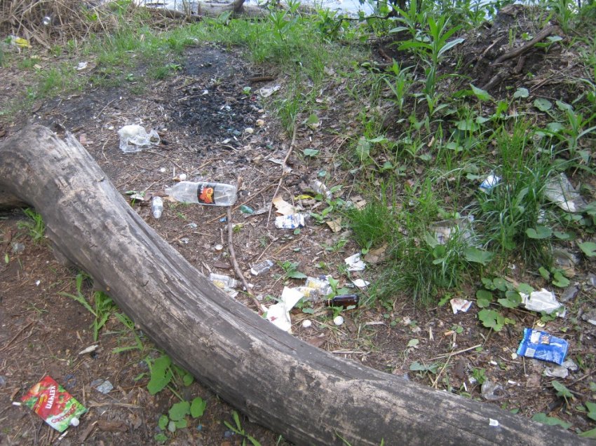 Коряги, мусор и заброшенная стоянка. Жители жалуются на грязное побережье Урала