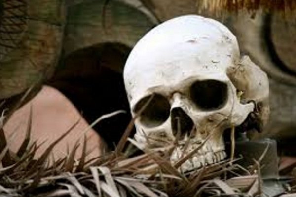 В озере под Магнитогорском нашли человеческие кости