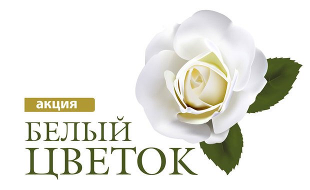 Белый цветок милосердия. Магнитогорская Епархия проведет благотворительную акцию