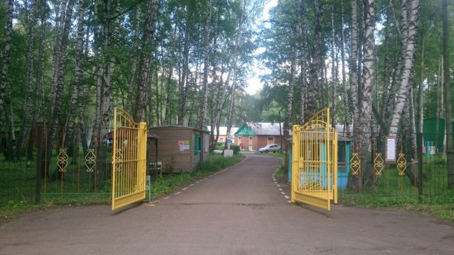 Роспотребнадзор выявил нарушения в детских лагерях