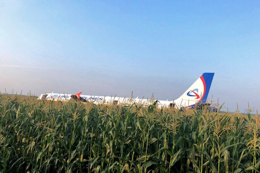Российский самолёт совершил посадку в кукурузном поле