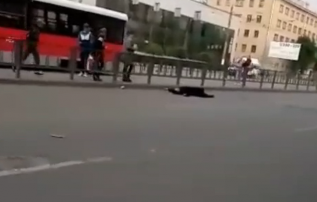   ,   ,  
