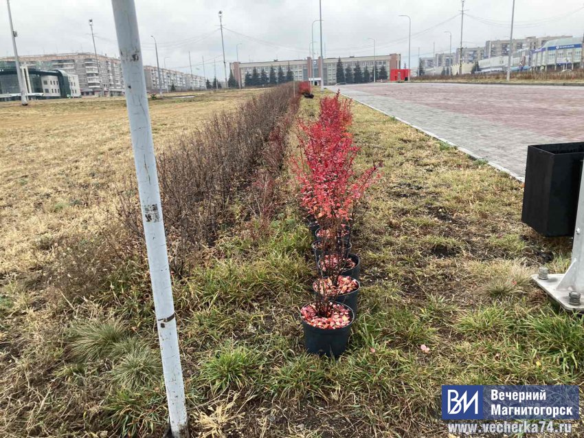 Новые краски осени Новые краски осени