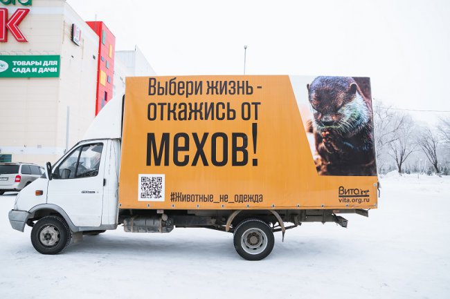 На одно пальто убивают 25 выдр На одно пальто убивают 25 выдр