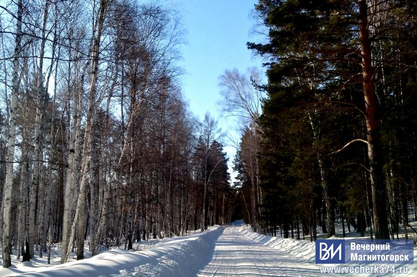 Запахло настоящей весной Запахло настоящей весной
