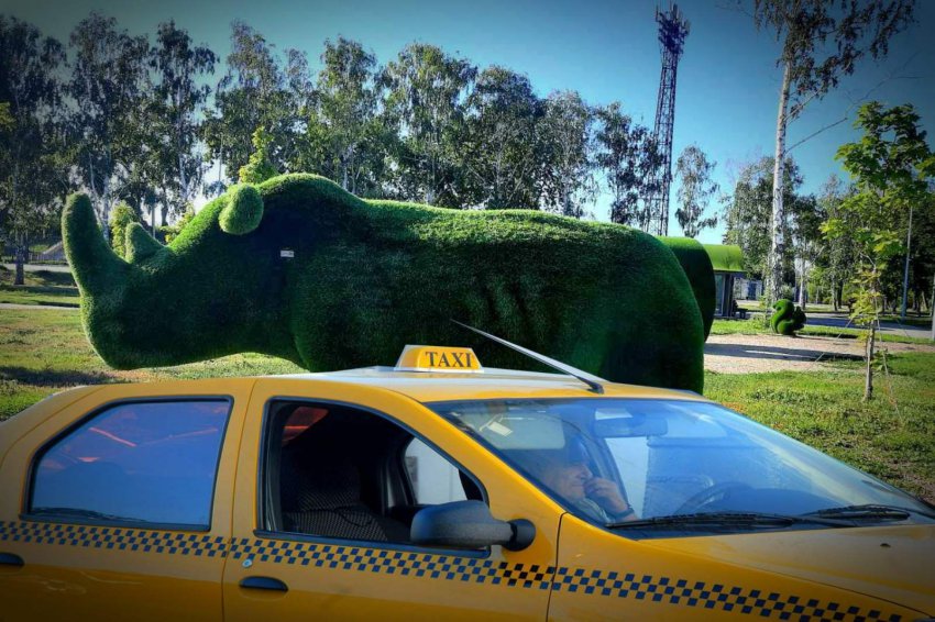 Такси для носорога