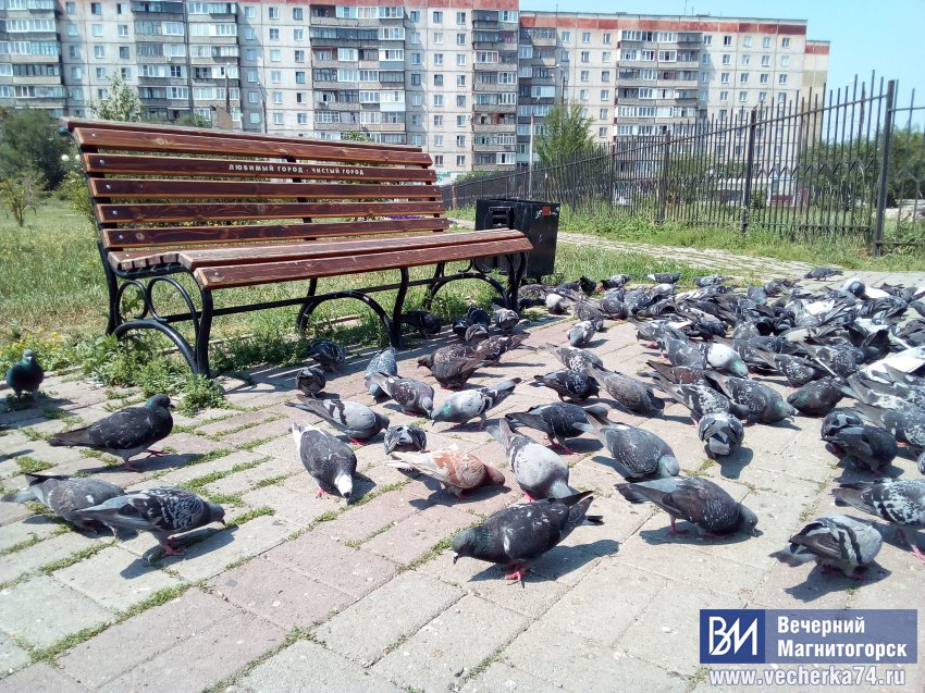 Градусы магнитогорск. Град в Магнитогорске. Погода в Магнитогорске.