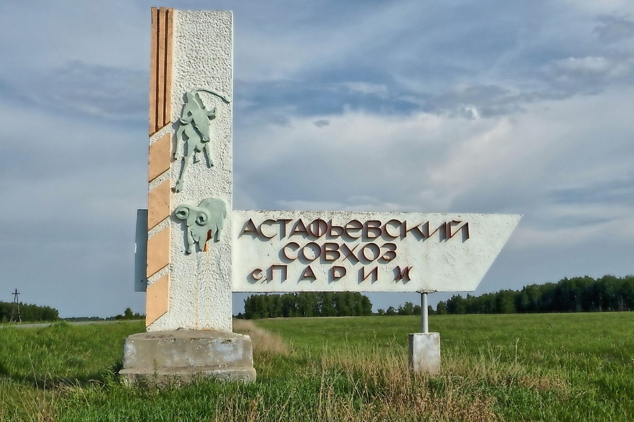 Томино сосий челябинская область