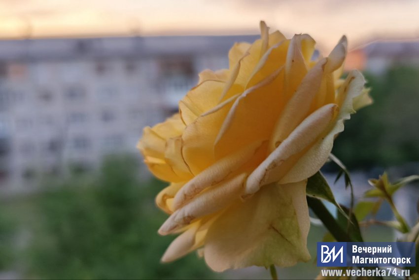 Лето на старт!