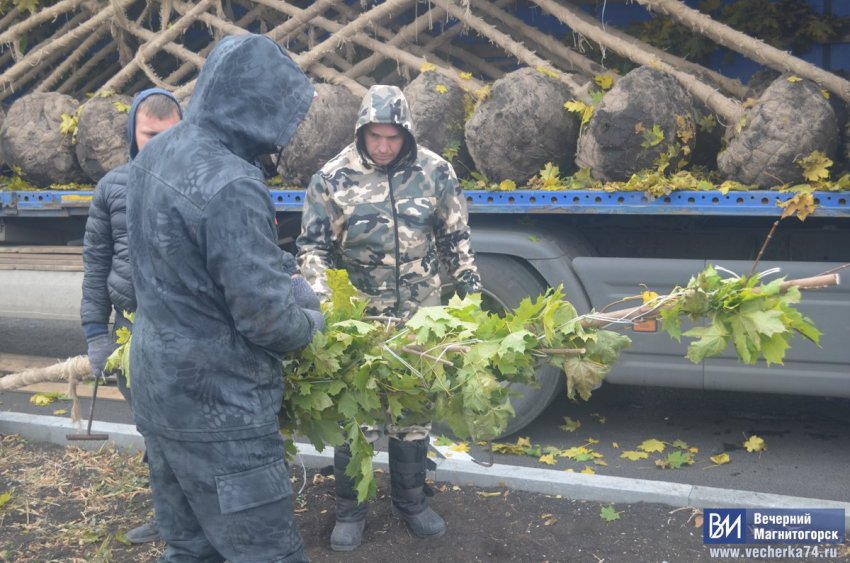 Магнитогорск стал зеленее Магнитогорск стал зеленее