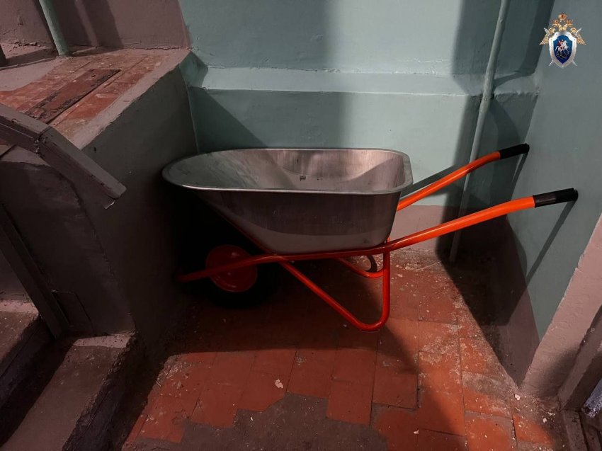 В полиции Магнитогорска прокомментировали резонансное убийство В полиции Магнитогорска прокомментировали резонансное убийство