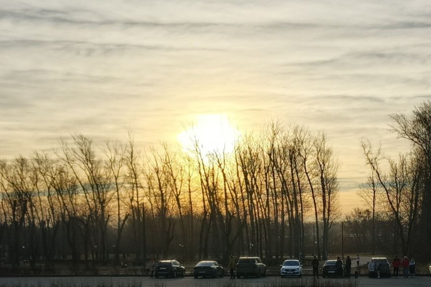 В честь Её Величества Мамы В честь Её Величества Мамы