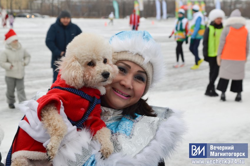 В Магнитогорске состоялся необычный забег Дедов Морозов и Снегурочек В Магнитогорске состоялся необычный забег Дедов Морозов и Снегурочек