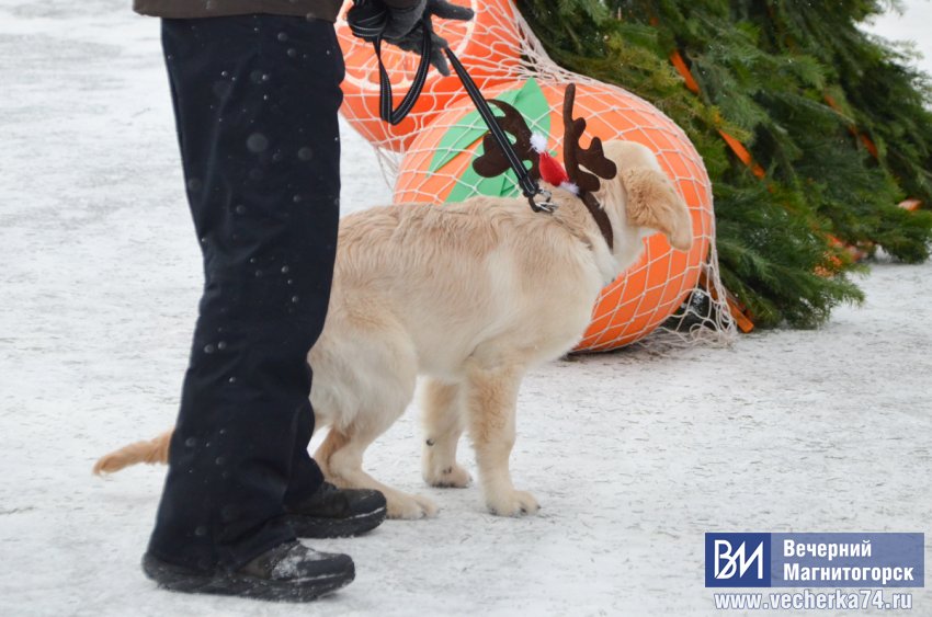 � ������������� ��������� ��������� ����� ����� ������� � ����������