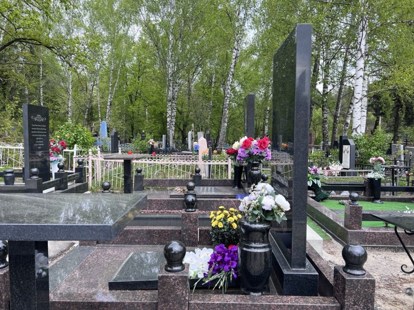 ������ � ������ ������ �������� ��������� ���������� | ���������