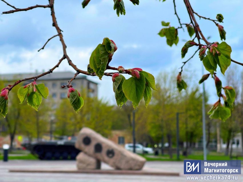 � ������������ ��� ���������� �����