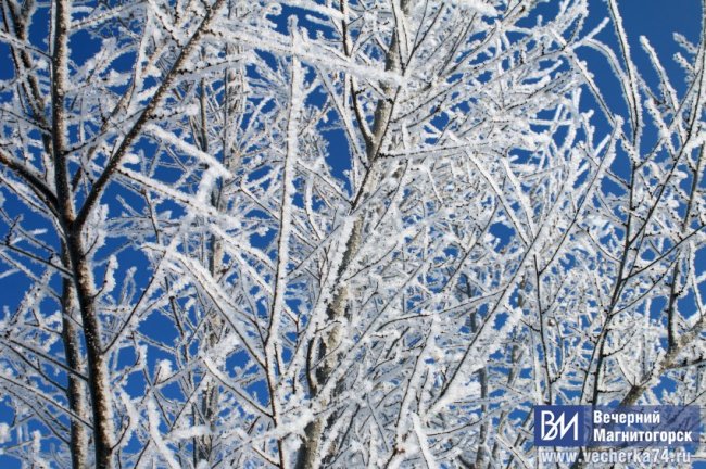 ����� �������������� ���������� ��������� ����