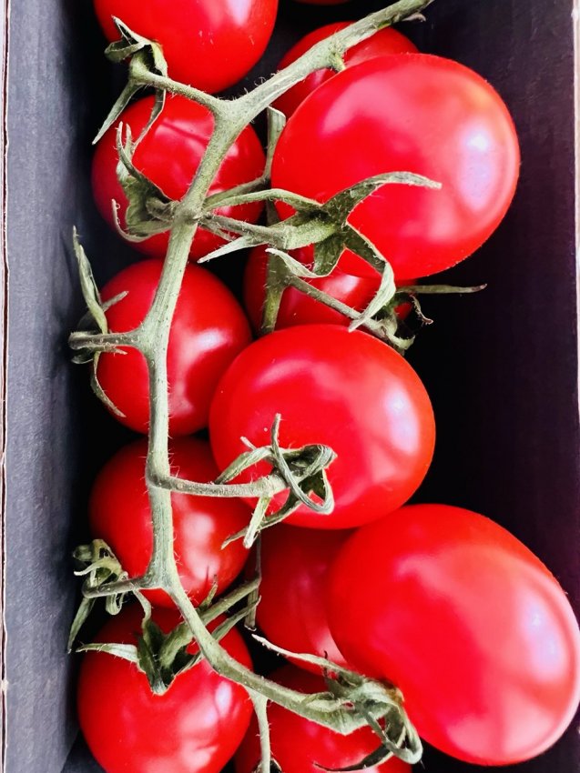 ��� �������� ������ ����� � ������ ������