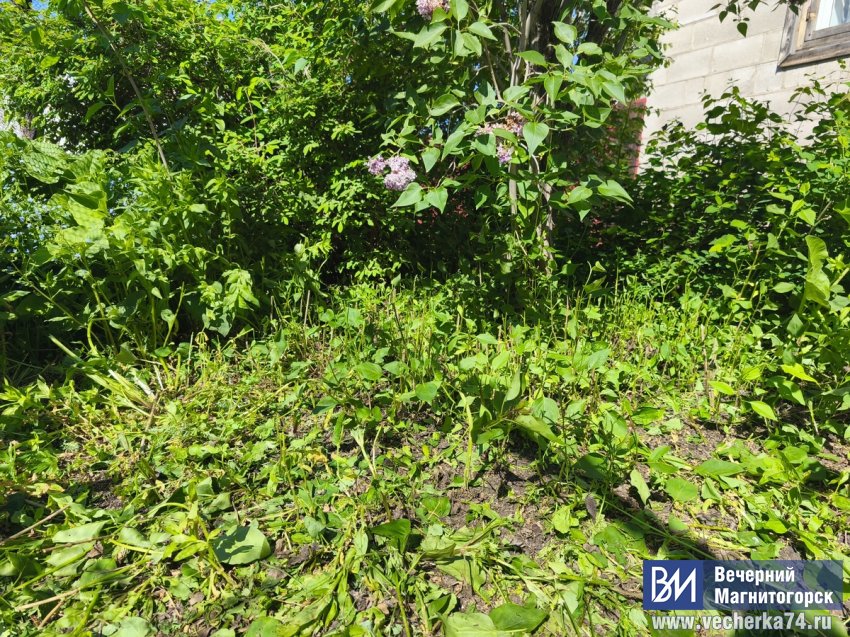 ������������� ������������ � ����� �������� ��������� � �������