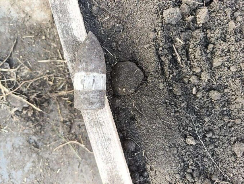 � ������������� ��������� ������� ���������