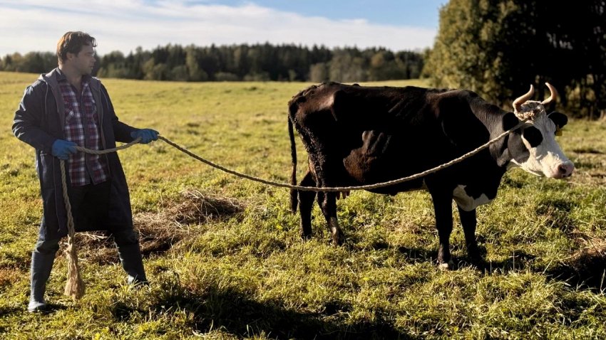 ���� ������������ � ��������: ���� ��� �������������� ����� ��������� �� ��� ������