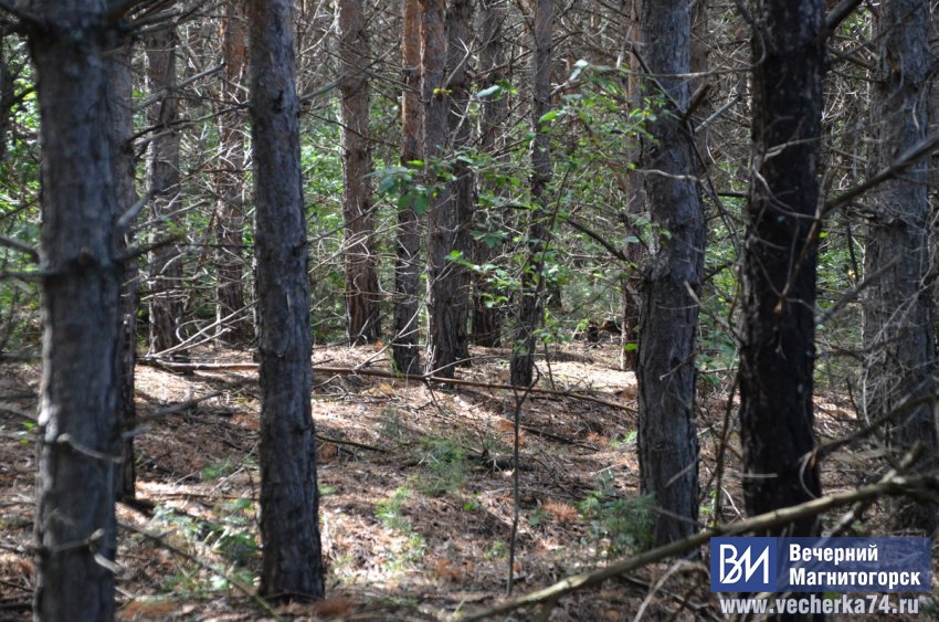 ������������ ��������� ������� �����