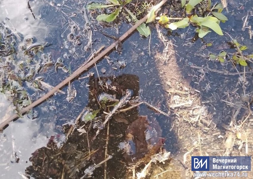 �� ����� ����� ����� ��� ������ ���� ����� �������