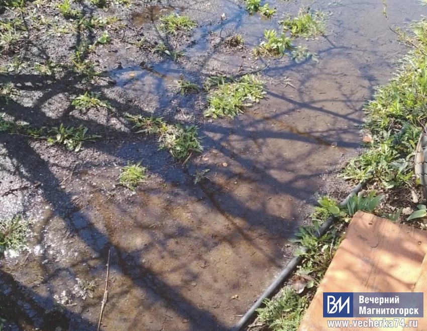 �� ����� ����� ����� ��� ������ ���� ����� �������