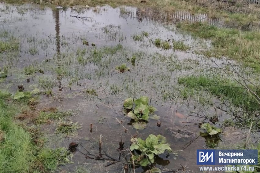 �� ����� ����� ����� ��� ������ ���� ����� �������