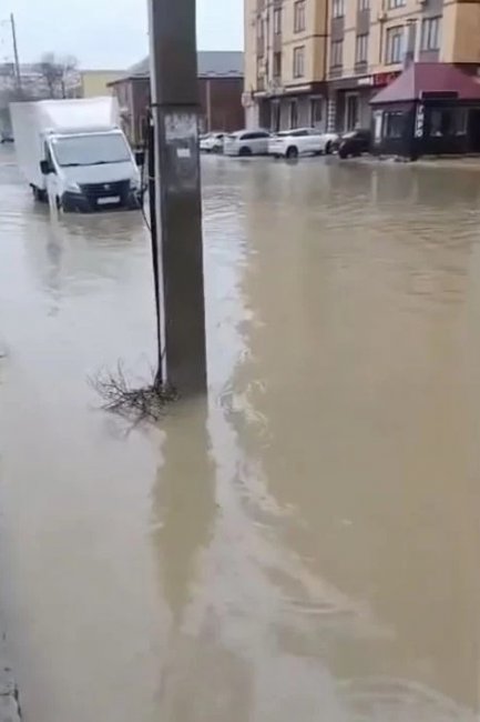 ���������, ������� ������� �� ��������