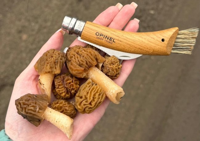 ������������ ��������� ������� �����