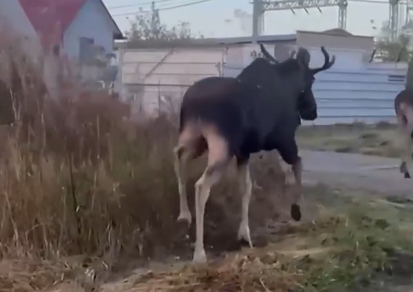 � ������������� ���� ������ �� ������