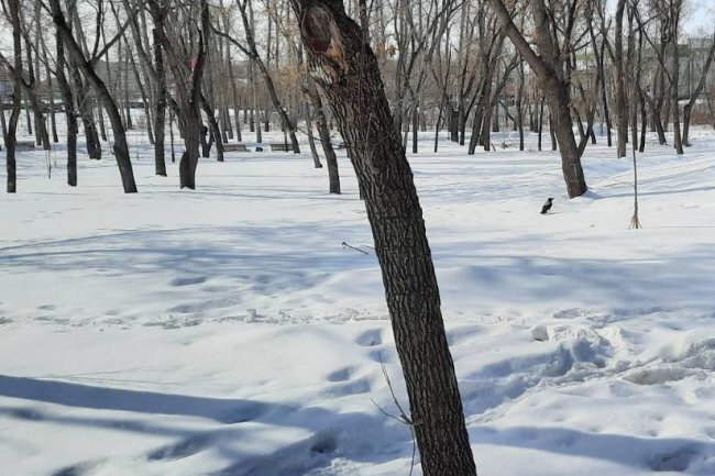 Недолго осталось. Ждать осталось недолго. Через 2 дня Весна. Уже недолго ждать весны. Юмор недолго осталось до весны метеорологической.