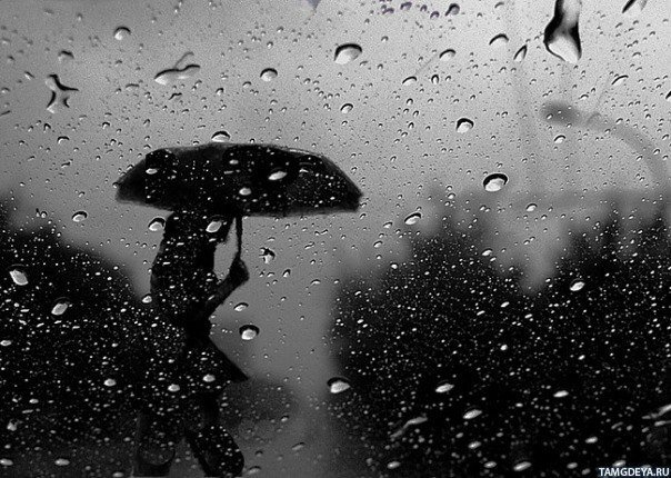 дождливое утро предложение. дождливое утро предложение. дождливое утро за окном. дождливое утро. дождливого утра тверь сентября.