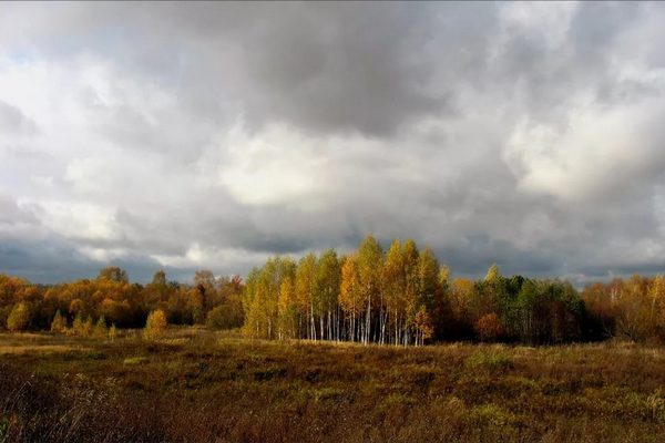 Небом покрой. Туча небо кроет. Осень в небе тучки. Туча небо кроет солнце не блестит. Осеннее поле в Ленобласти.